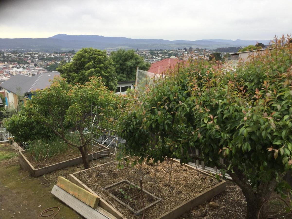 City View Townhouse 朗塞斯顿 外观 照片